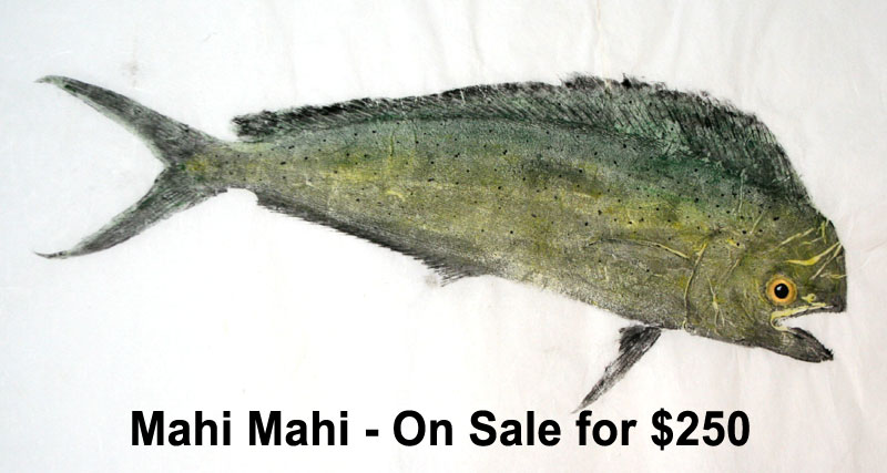 Original art gyotaku fish prints - Mahi Mahi Gyotaku Art