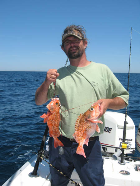 Blackbelly Rosefish Fishing - Blackbelly Rosefish art