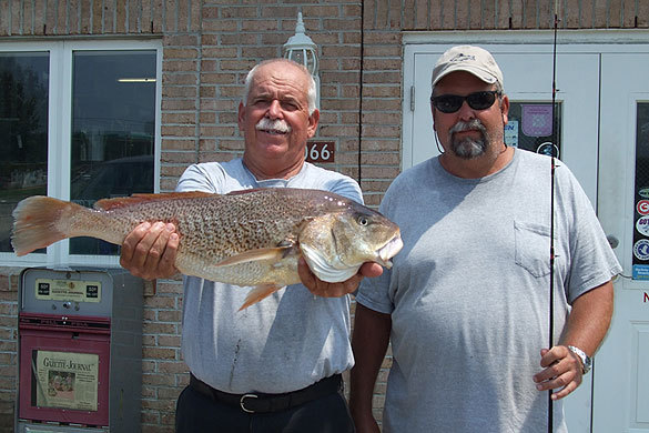 Croaker Fishing - Croaker art