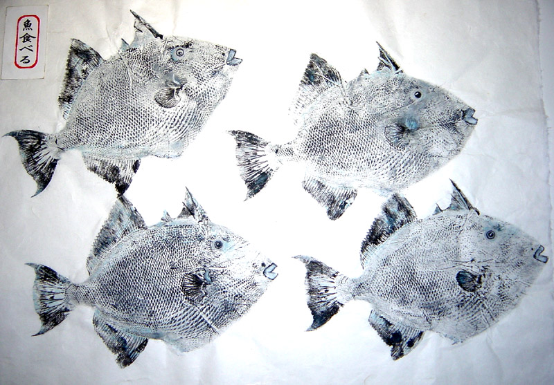 Triggerfish Fishing - Triggerfish art